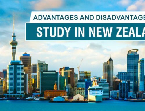 شرایط تحصیل در نیوزیلند